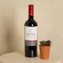 Perez Cruz Red Wine and Organic Succulent